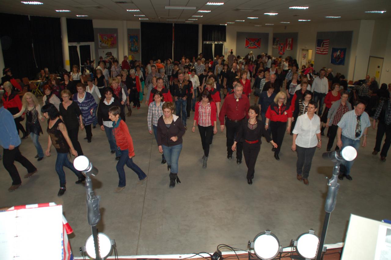 black orchid 16-03-2013 (9)